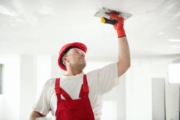 Best Residential Painting  in Oakland, IA